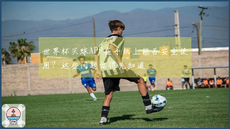 世界杯买球APP在手机上能否安全使用？这些问题你得先知道