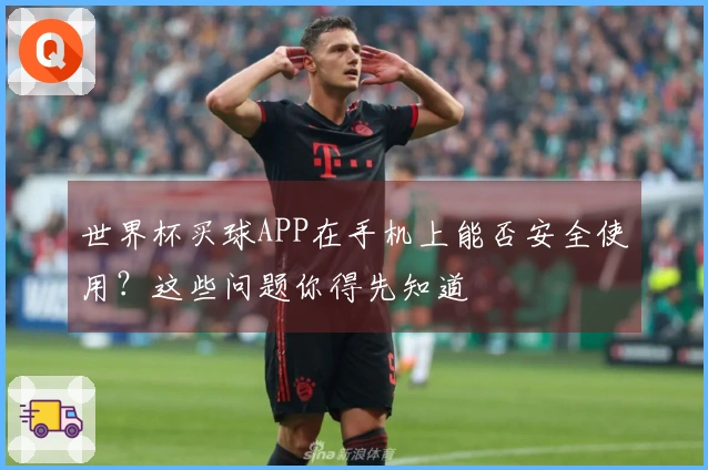 世界杯买球APP在手机上能否安全使用？这些问题你得先知道