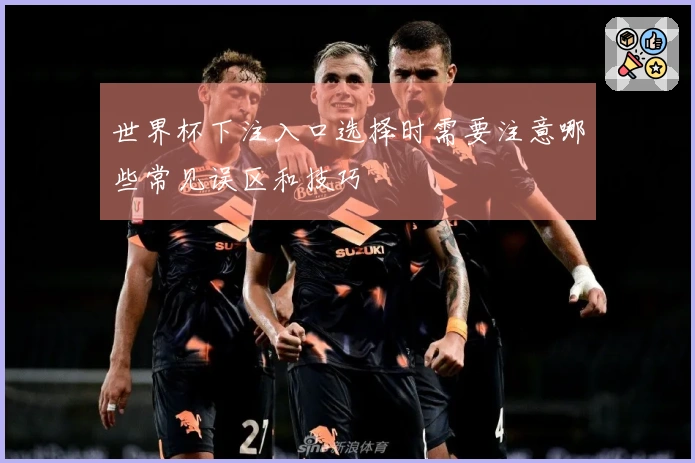 世界杯下注入口选择时需要注意哪些常见误区和技巧