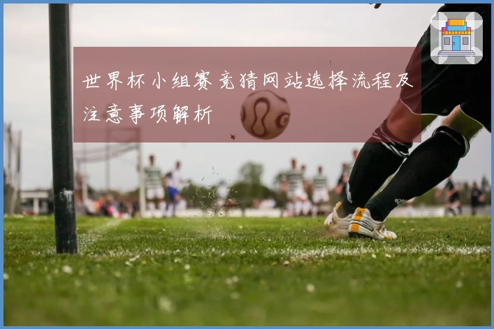 世界杯小组赛竞猜网站选择流程及注意事项解析