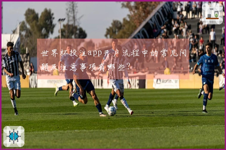 世界杯投注app开户流程中的常见问题及注意事项有哪些？