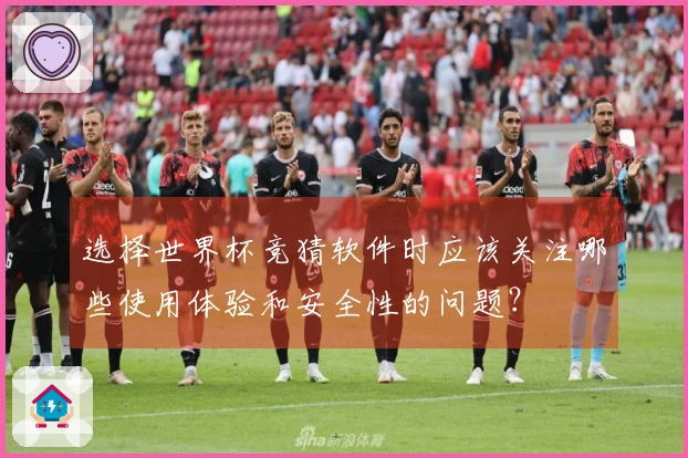 选择世界杯竞猜软件时应该关注哪些使用体验和安全性的问题？