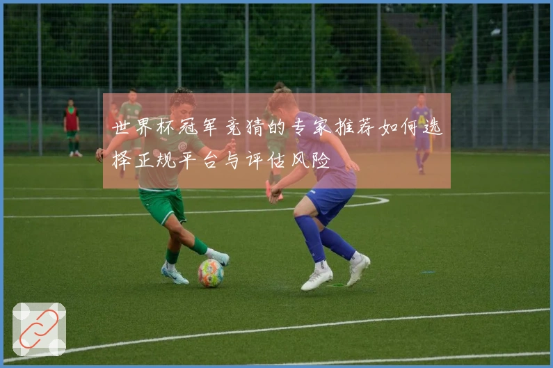 世界杯冠军竞猜的专家推荐如何选择正规平台与评估风险