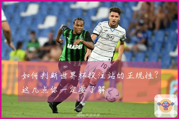 如何判断世界杯投注站的正规性？这几点你一定要了解