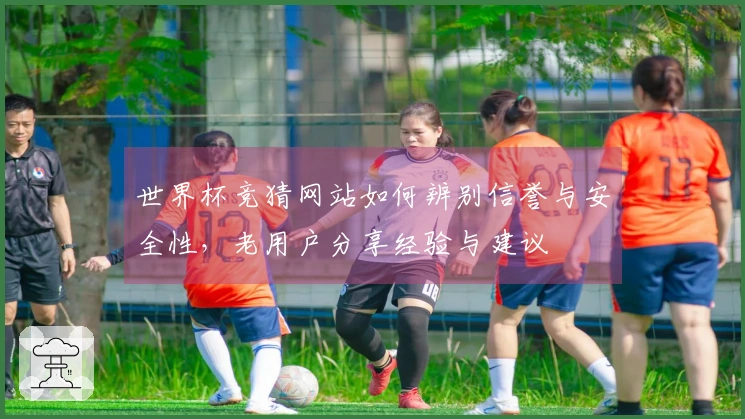 世界杯竞猜网站如何辨别信誉与安全性，老用户分享经验与建议
