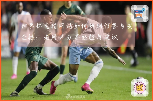 世界杯竞猜网站如何辨别信誉与安全性,老用户分享经验与建议