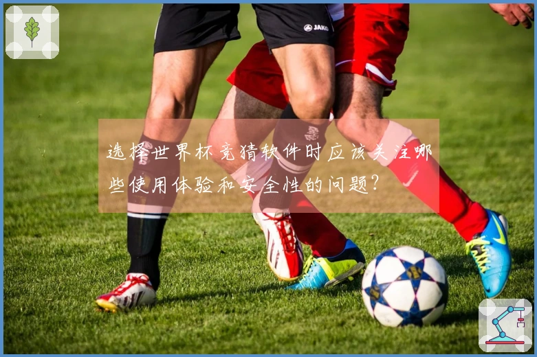 选择世界杯竞猜软件时应该关注哪些使用体验和安全性的问题？