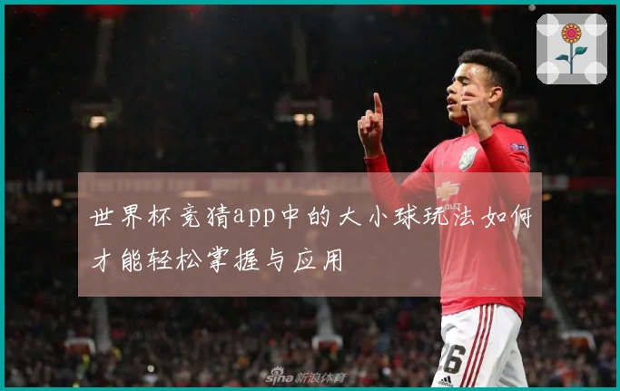 世界杯竞猜app中的大小球玩法如何才能轻松掌握与应用